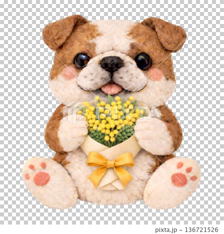 【國際婦女節】一隻鬥牛犬叼著一束毛氈風格的含羞草花束的插圖 136721526