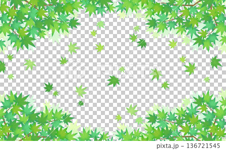 Fluttering green maple frame 2_horizontal Fluttering green maple frame 2_horizontal 136721545