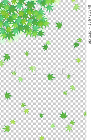 飄動的綠色楓木框架 3_垂直 136721549