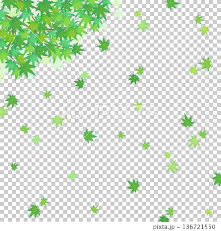 飄動的綠色楓木框架 3_square 136721550
