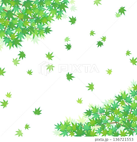 舞い散る緑のもみじフレーム4_正方形 舞い散る緑のもみじフレーム4_正方形 136721553