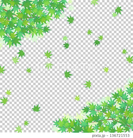 舞い散る緑のもみじフレーム4_正方形 舞い散る緑のもみじフレーム4_正方形 136721553