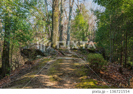 国営飛鳥歴史公園祝戸地区　西展望台と東展望台をつなぐ山道　奈良県 136721554