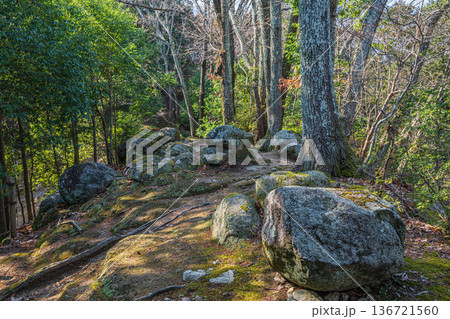 国営飛鳥歴史公園祝戸地区　西展望台と東展望台をつなぐ山道　奈良県 136721560
