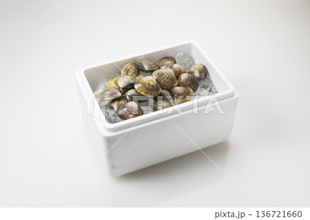 はまぐり 136721660