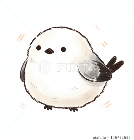 正面を向いたシマエナガ 136721683