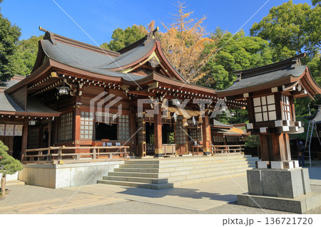 熊本県　水前寺成趣園内の出水神社（社殿） 136721720