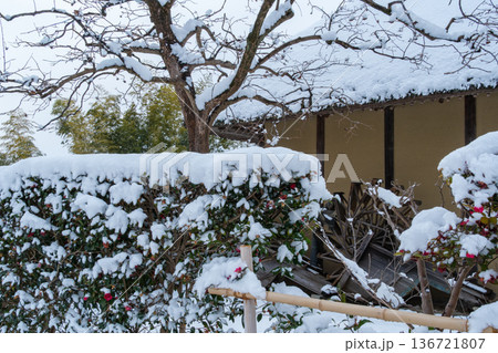 柿の木の雪景色 柿の木の雪景色 136721807
