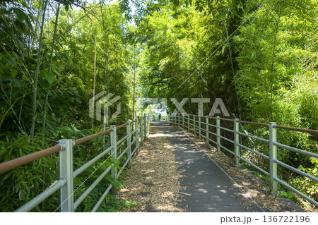 Bicycle path along the Geumgang River 136722196