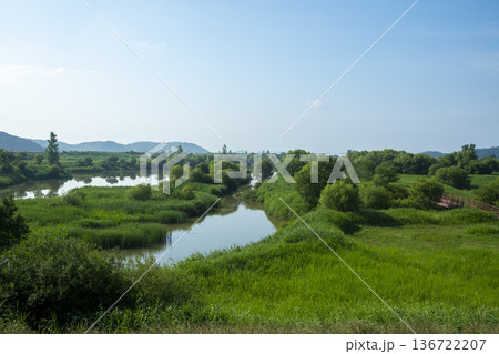 Bicycle path along the Geumgang River Bicycle path along the Geumgang River 136722207