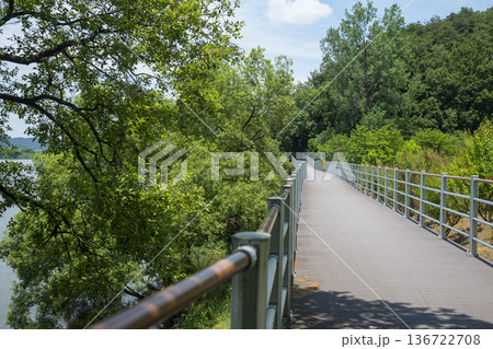 Bicycle path along the Geumgang River Bicycle path along the Geumgang River 136722708