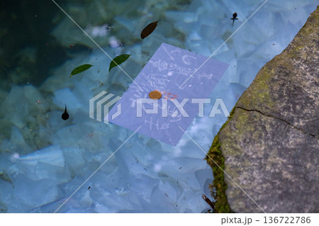 八重垣神社 鏡の池に浮かべた占い用紙と硬貨 八重垣神社 鏡の池に浮かべた占い用紙と硬貨 136722786