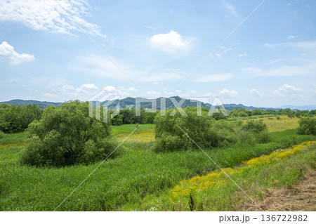 Bicycle path along the Geumgang River 136722982