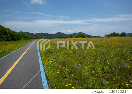 Bicycle path along the Geumgang River 136723214