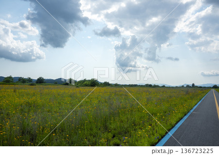 Bicycle path along the Geumgang River Bicycle path along the Geumgang River 136723225