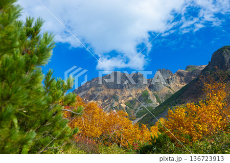 北海道美瑛2025秋-凌雲閣からの眺め-05 北海道美瑛2025秋-凌雲閣からの眺め-05 136723913