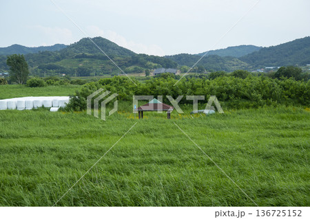 Bicycle path along the Geumgang River Bicycle path along the Geumgang River 136725152
