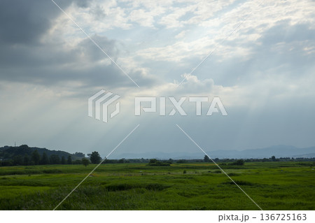 Bicycle path along the Geumgang River 136725163