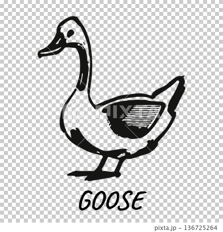 Simple black and white illustration of a goose with bold lines and minimalist design style 136725264