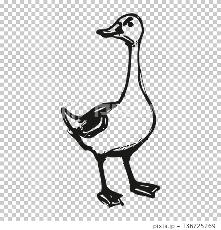 Simple black and white illustration of a cartoon duck standing on two legs facing left Simple black and white illustration of a cartoon duck standing on two legs facing left 136725269