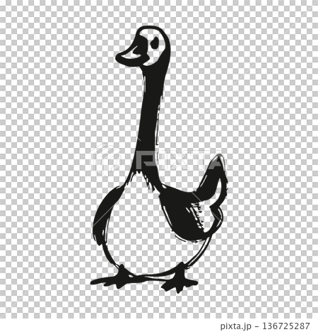 Simple black and white illustration of a duck with a long neck and webbed feet standing. Simple black and white illustration of a duck with a long neck and webbed feet standing. 136725287