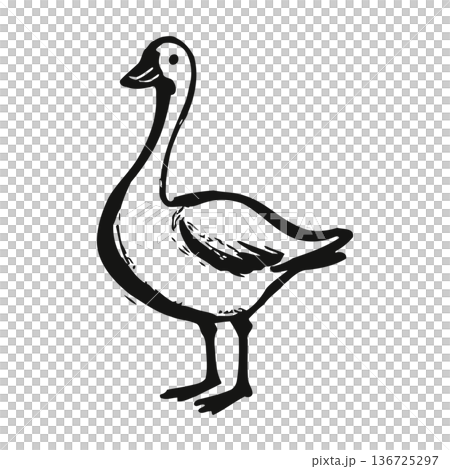 Simple black and white illustration of a goose with elegant long neck standing. Simple black and white illustration of a goose with elegant long neck standing. 136725297