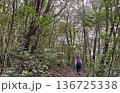 Teenager girl tourist hiking in Santa Elena Cloud Forest Reserve, Costa Rica 136725338