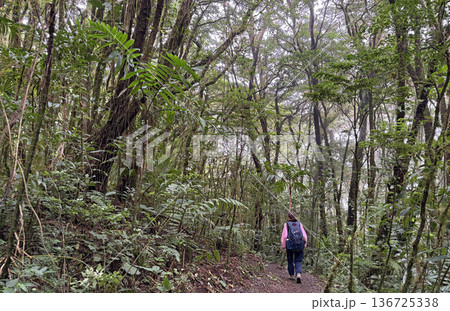 Teenager girl tourist hiking in Santa Elena Cloud Forest Reserve, Costa Rica 136725338