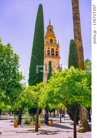 スペイン ゴルドバ メスキータ中庭 スペイン ゴルドバ メスキータ中庭 136725397