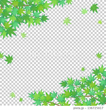 Simple frame 4 with scattered green maples_square Simple frame 4 with scattered green maples_square 136725817