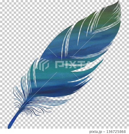 Beautiful watercolor bird feather icon image illustration Beautiful watercolor bird feather icon image illustration 136725868