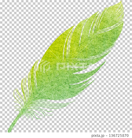 Beautiful watercolor bird feather icon image illustration Beautiful watercolor bird feather icon image illustration 136725870