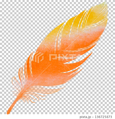 Beautiful watercolor bird feather icon image illustration Beautiful watercolor bird feather icon image illustration 136725873