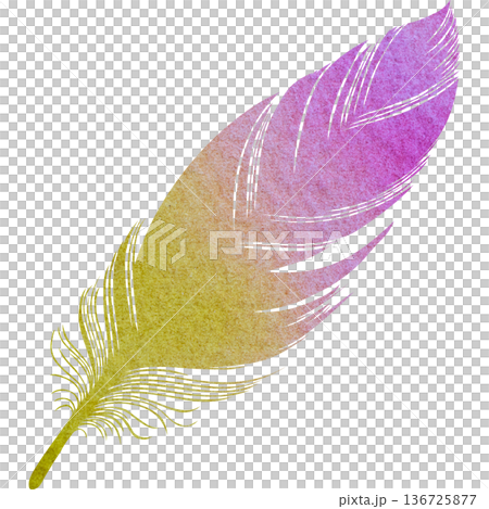 Beautiful watercolor bird feather icon image illustration Beautiful watercolor bird feather icon image illustration 136725877