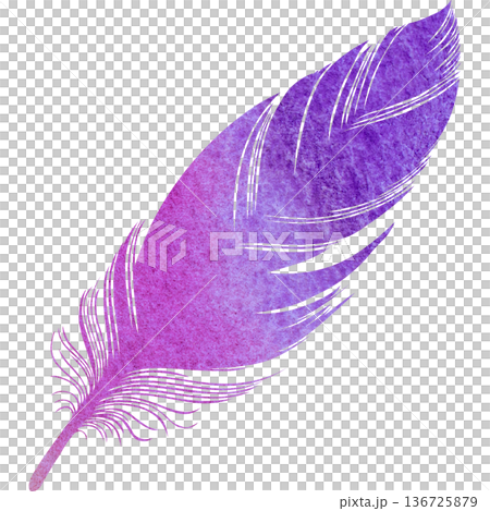 美麗的水彩鳥羽毛圖示圖像的插圖 136725879
