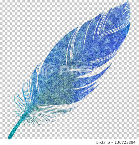 美麗的水彩鳥羽毛圖示圖像的插圖 136725884