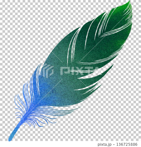 Beautiful watercolor bird feather icon image illustration Beautiful watercolor bird feather icon image illustration 136725886