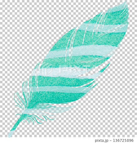 Beautiful watercolor bird feather icon image illustration Beautiful watercolor bird feather icon image illustration 136725896