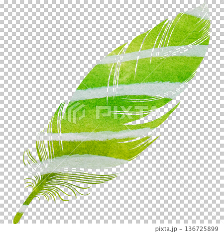 Beautiful watercolor bird feather icon image illustration Beautiful watercolor bird feather icon image illustration 136725899