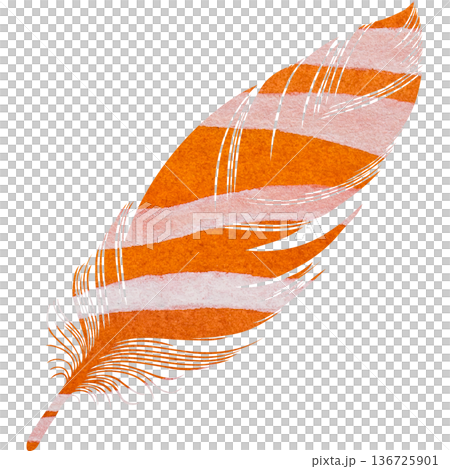 Beautiful watercolor bird feather icon image illustration Beautiful watercolor bird feather icon image illustration 136725901