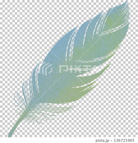 Beautiful watercolor bird feather icon image illustration 136725905