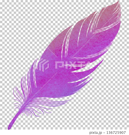 Beautiful watercolor bird feather icon image illustration 136725907