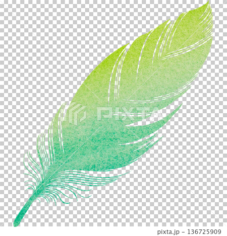 Beautiful watercolor bird feather icon image illustration Beautiful watercolor bird feather icon image illustration 136725909