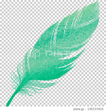 美麗的水彩鳥羽毛圖示圖像的插圖 136725910