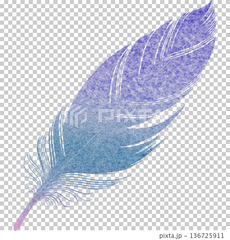 Beautiful watercolor bird feather icon image illustration 136725911