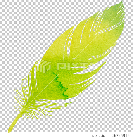 綺麗な水彩模様の鳥の羽のアイコンのイメージのイラスト 136725919