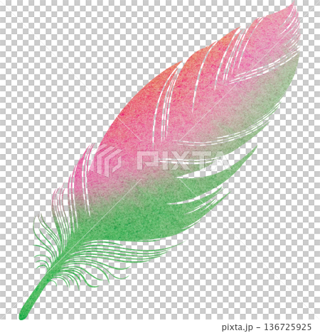 Beautiful watercolor bird feather icon image illustration Beautiful watercolor bird feather icon image illustration 136725925