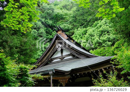 郡上市 街風景 郡上市 街風景 136726029