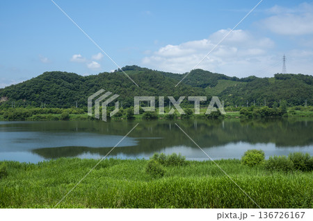 Bicycle path along the Geumgang River Bicycle path along the Geumgang River 136726167