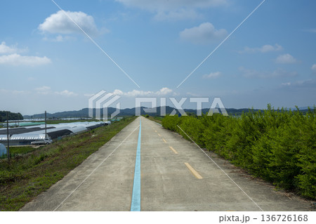 Bicycle path along the Geumgang River Bicycle path along the Geumgang River 136726168